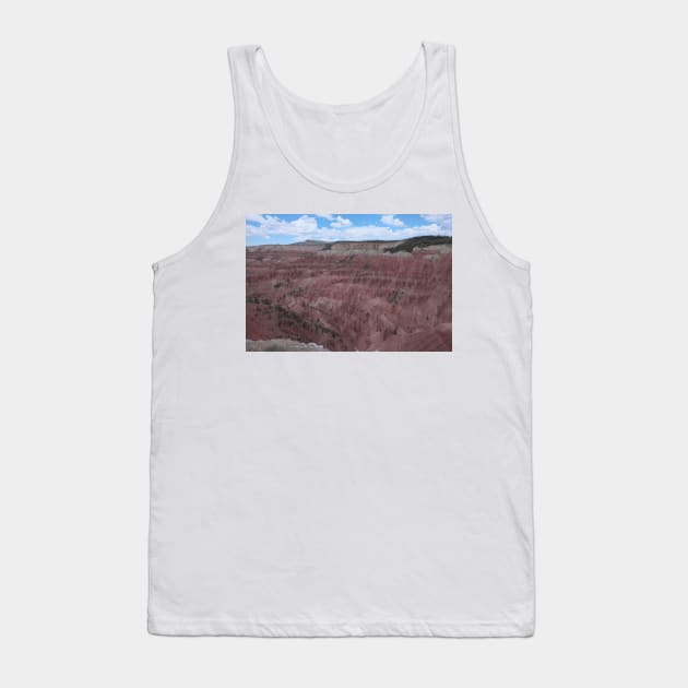 850_6940 Tank Top by wgcosby